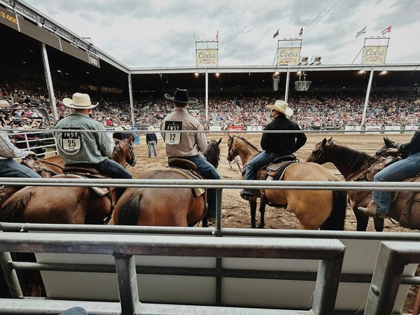 Welche Kampfsportart ist am besten für Anfänger geeignet?